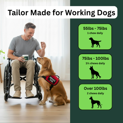 Working Years Joint Support